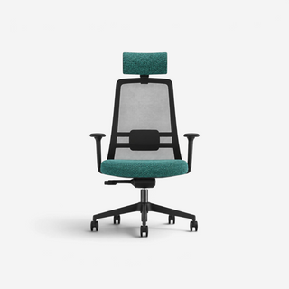 Addo Shop Raymond ergonomic office chair with teal fabric seat, adjustable headrest, and breathable black mesh back.