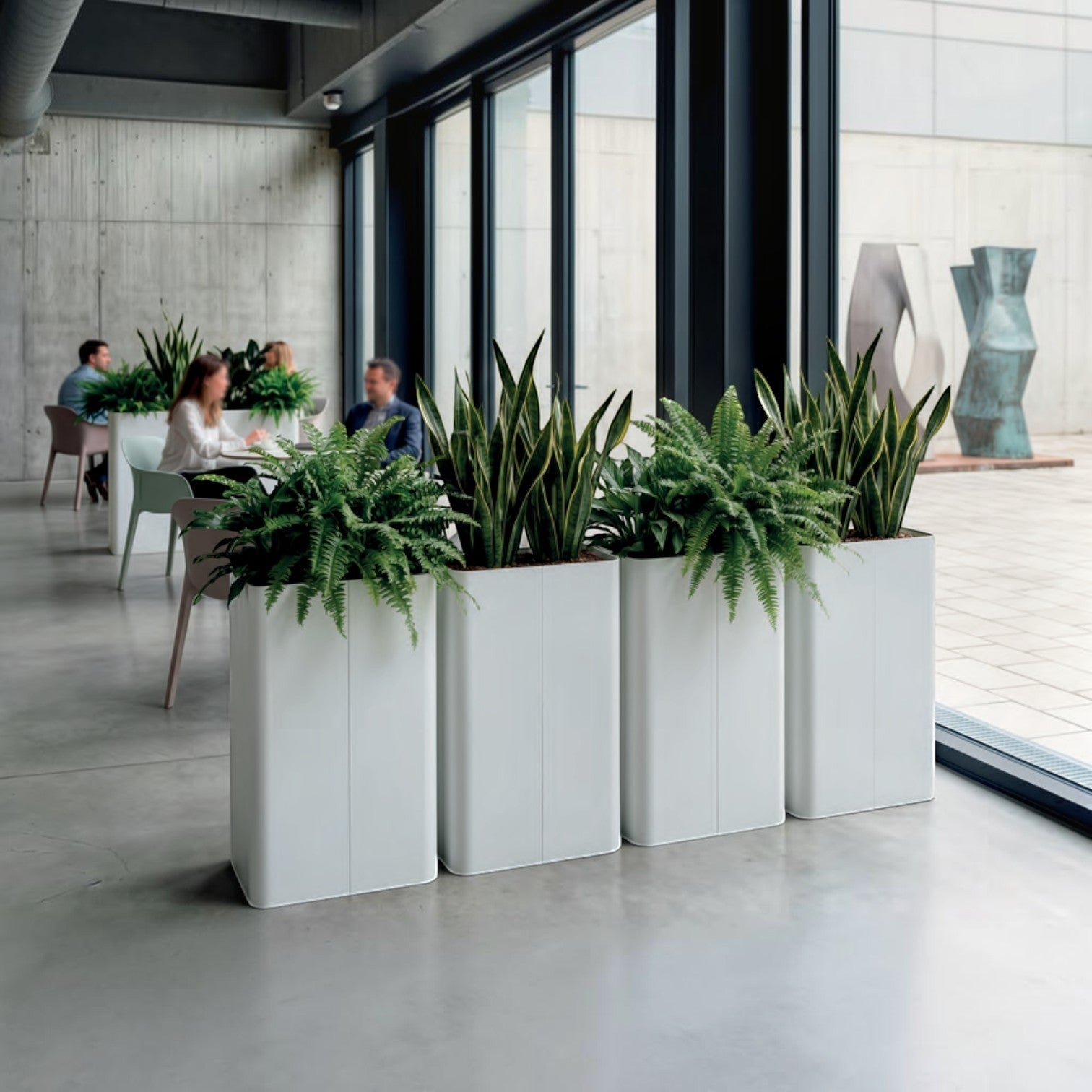 Addo Shop MAXI tall white rectangular planters holding lush green ferns and snake plants in a modern office lobby.