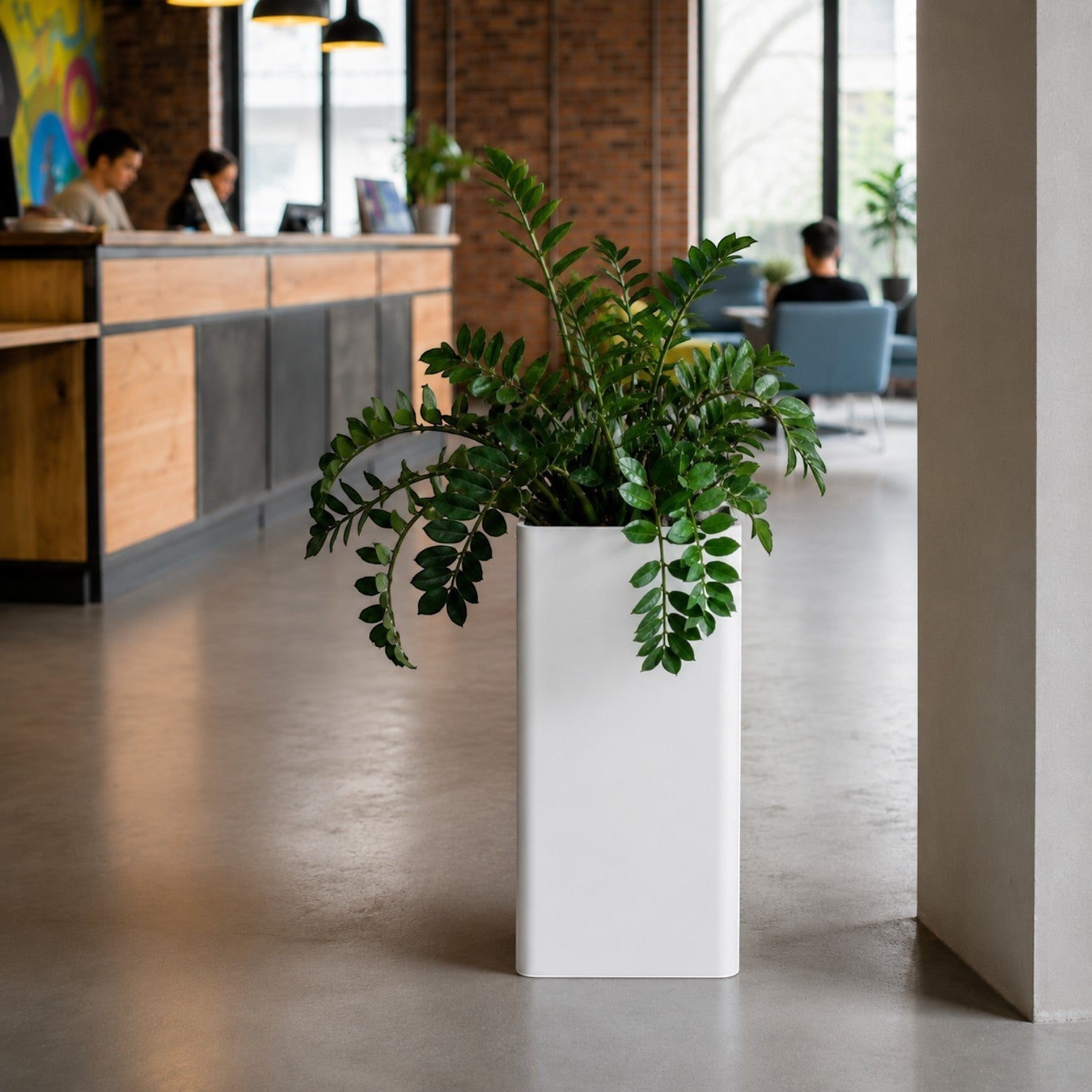 Addo Shop MAXI tall white rectangular floor planter holding a lush green Zamioculcas plant in a modern office lobby.
