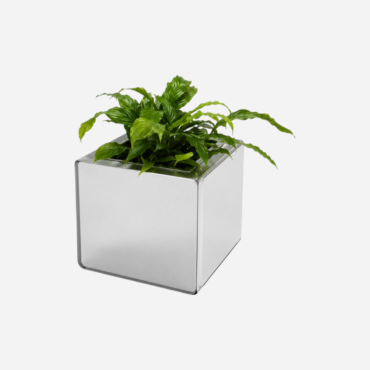 Caimi PRISMA square mirrored indoor planter with a green plant, available at Addo Shop for home or office decor.