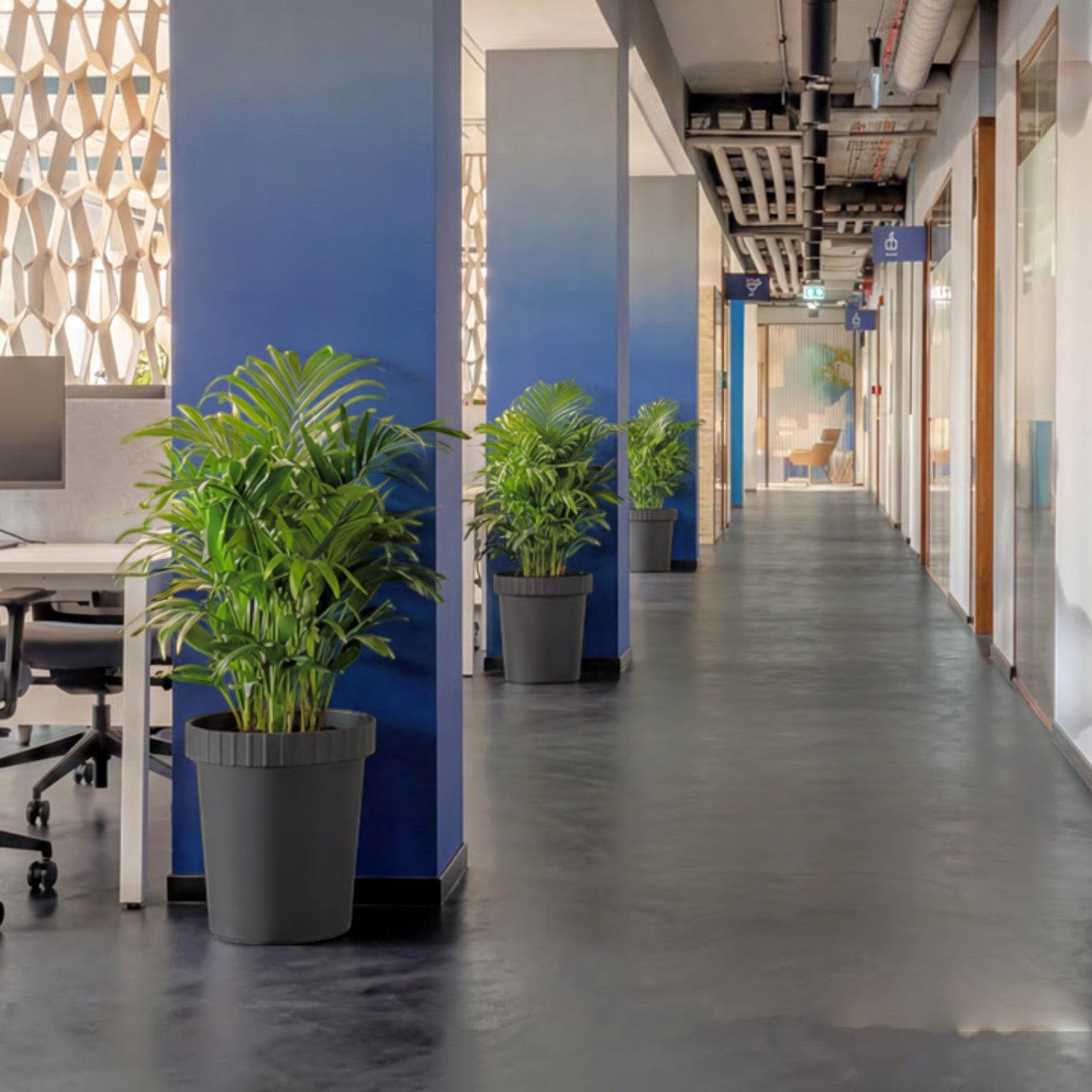 Addo Shop RAFFLES SYSTEM dark grey cylindrical planters with lush green palm plants in a modern office hallway.