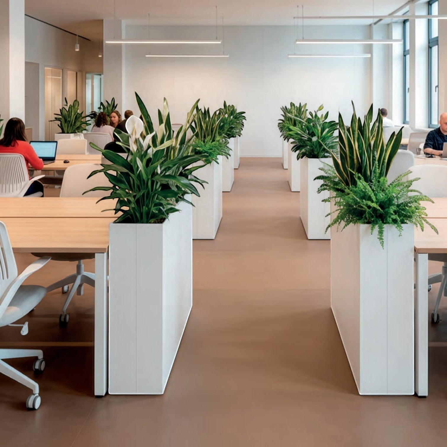 Addo Shop tall white rectangular floor planter used as a room divider in a modern office with lush green plants.