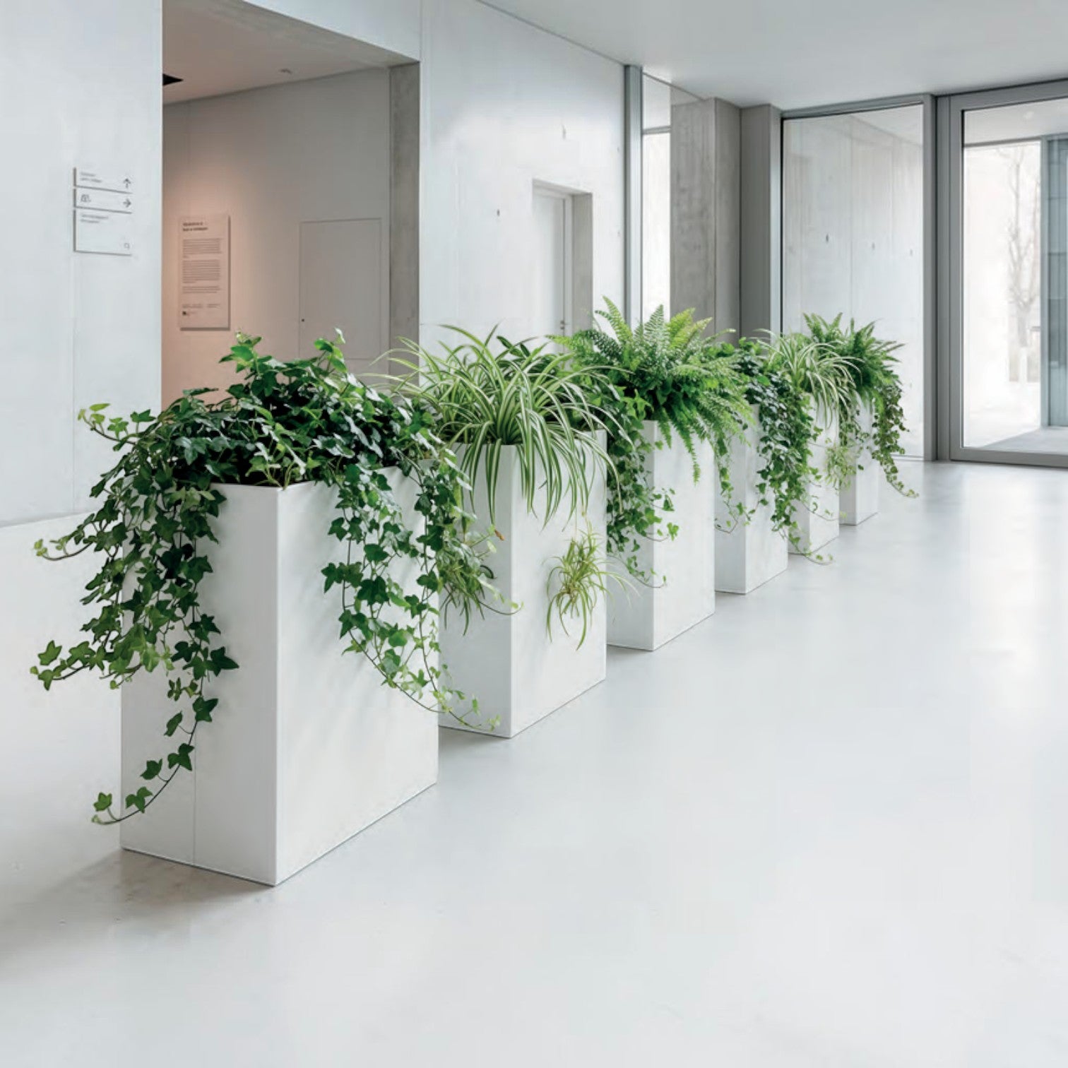Addo Shop tall white rectangular floor planters filled with lush green indoor plants in a modern office hallway.