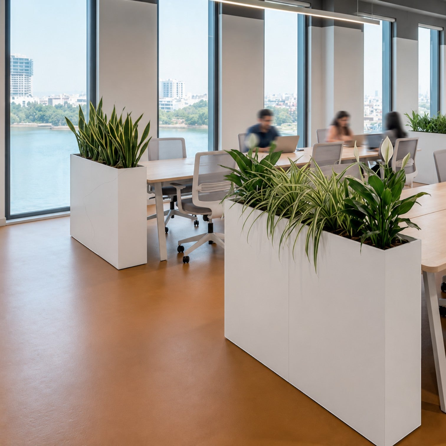 Addo Shop white rectangular floor planter in a modern office setting with lush green plants and city view background.