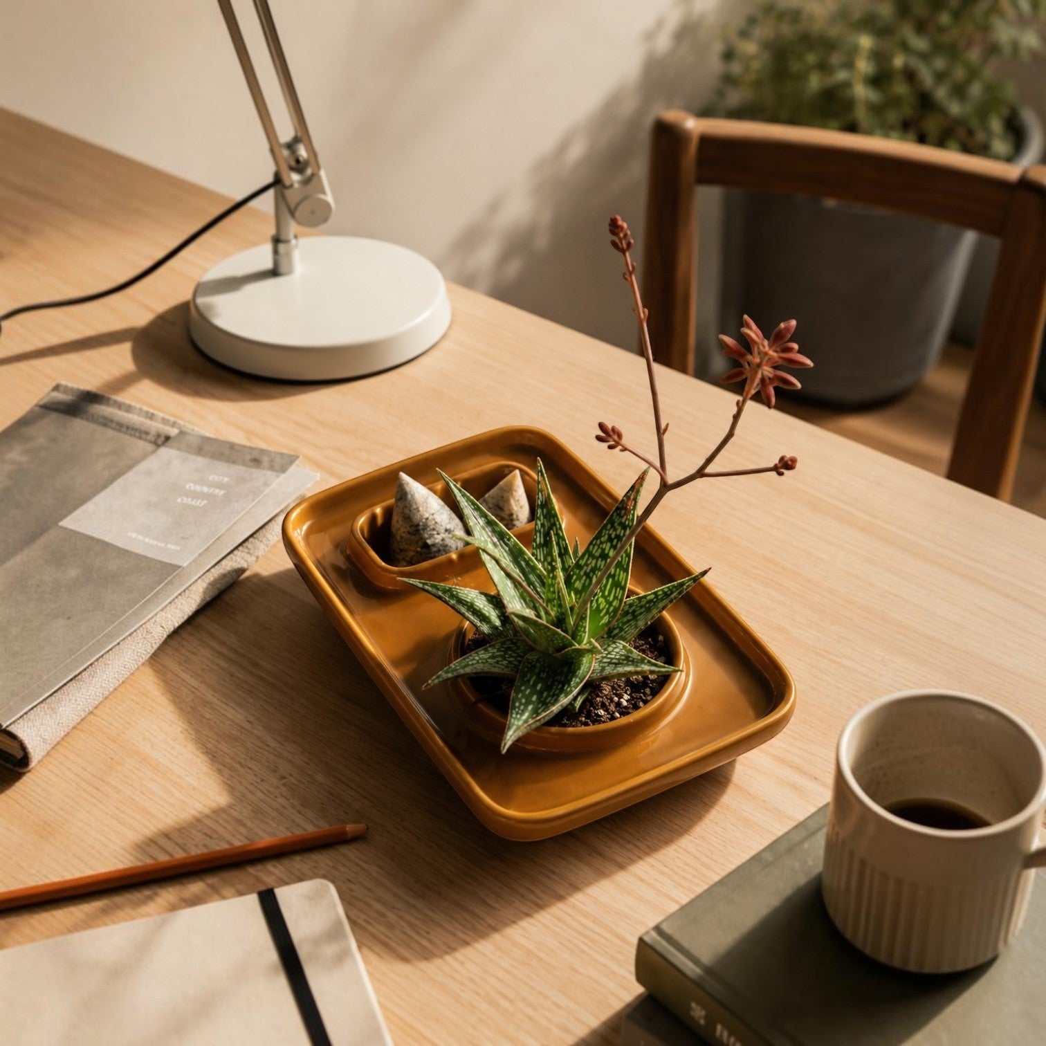 Addo Shop PLAT multifunctional tray in mustard yellow ceramic, holding a succulent plant and decorative stones.