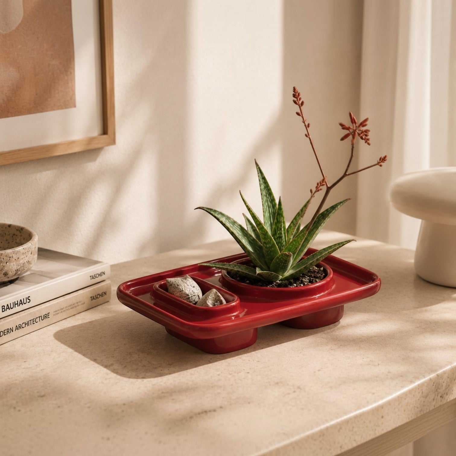 Addo Shop red ceramic multifunctional tray with aloe plant and decorative stones on a desk.